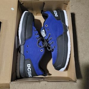 Dc shoes x bronze 56k clickers size 12